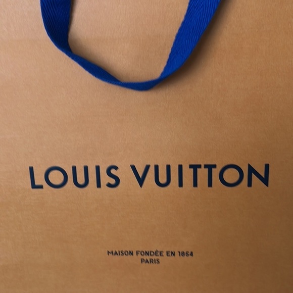 LOUIS VUITTON Gift/Shopping Bag - Picture 3 of 5